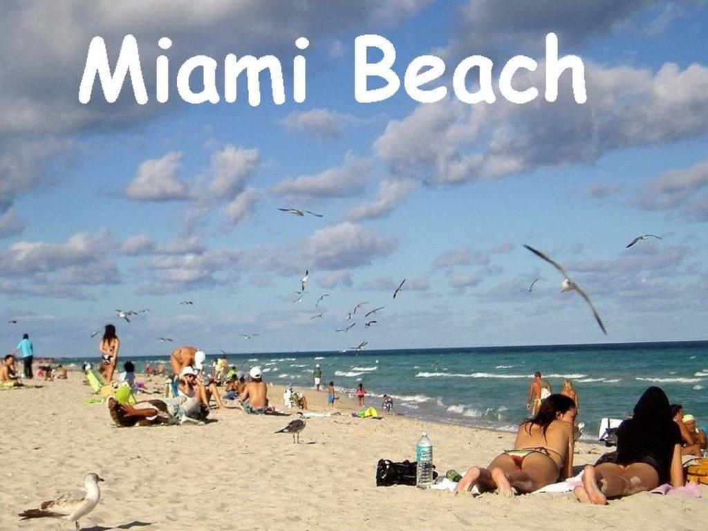 Bikini Lodge (Adults Only) Miami Beach Phòng bức ảnh